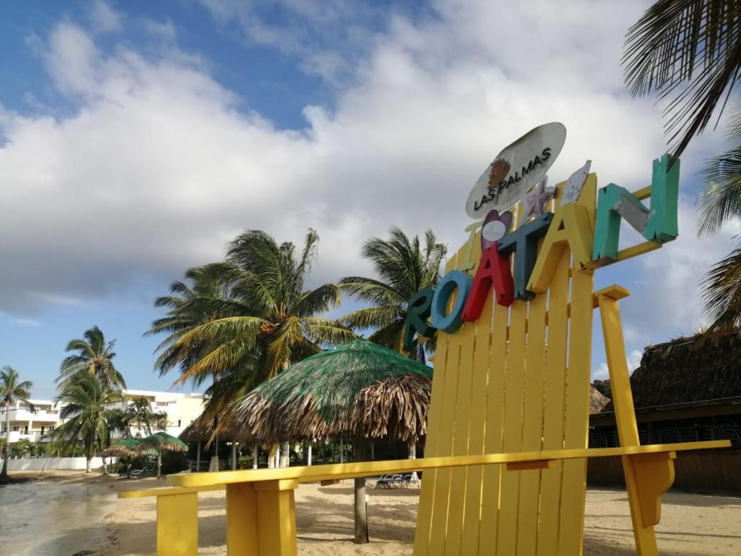 Las Palmas Beach Hotel Dixon Cove 外观 照片