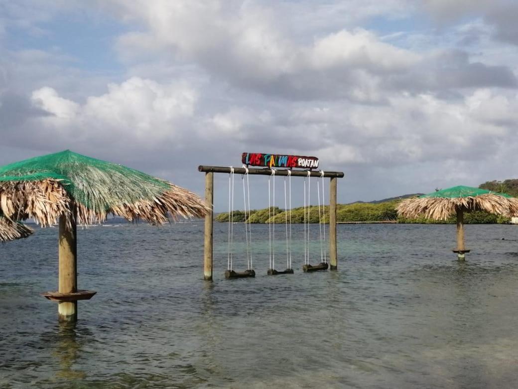 Las Palmas Beach Hotel Dixon Cove 外观 照片