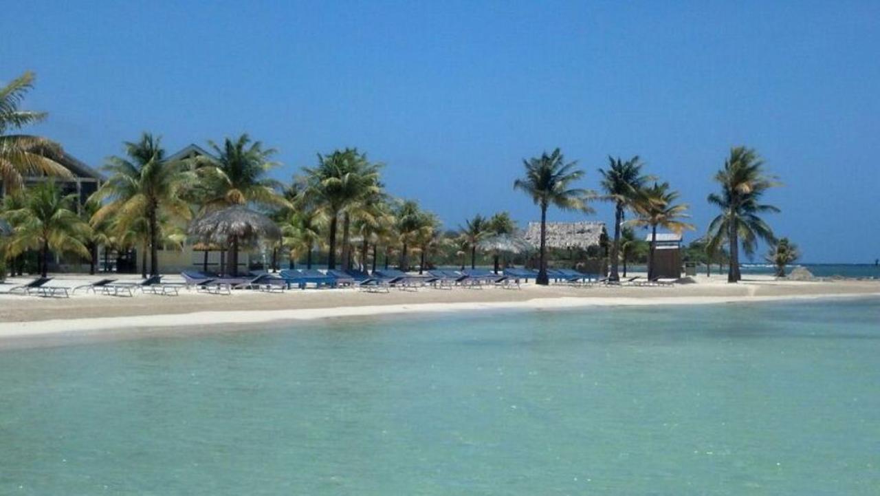Las Palmas Beach Hotel Dixon Cove 外观 照片