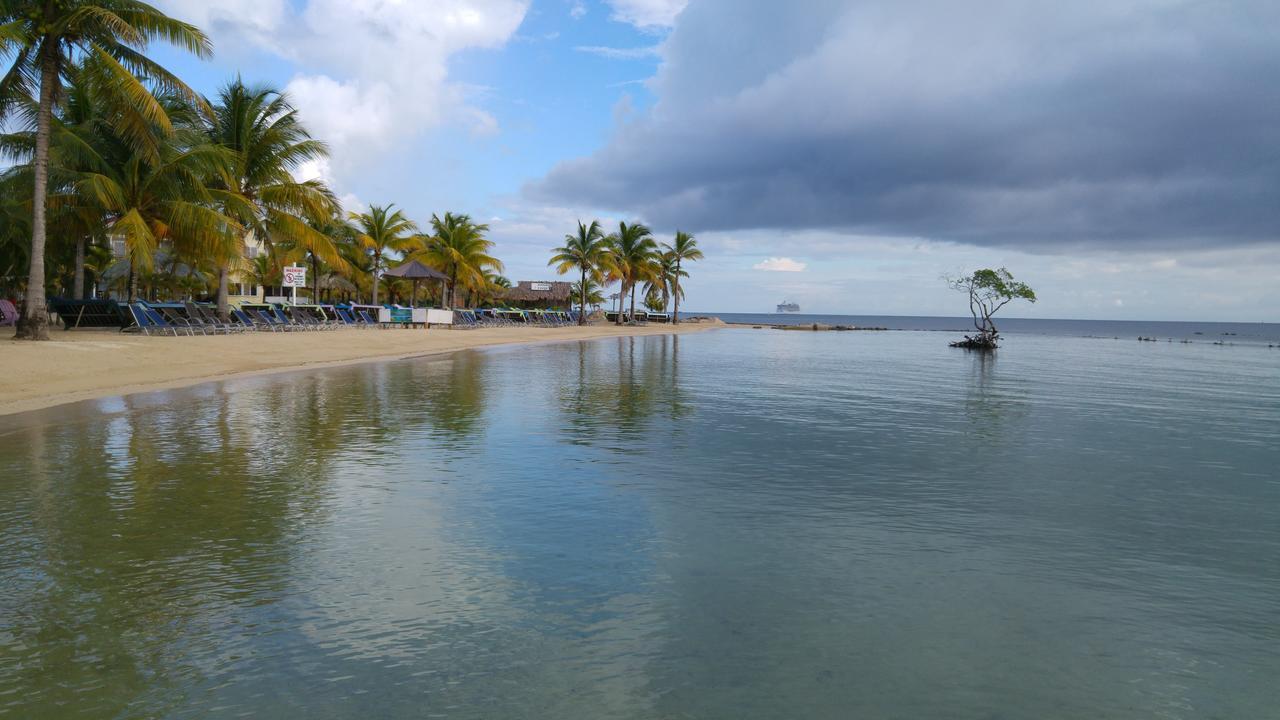 Las Palmas Beach Hotel Dixon Cove 外观 照片