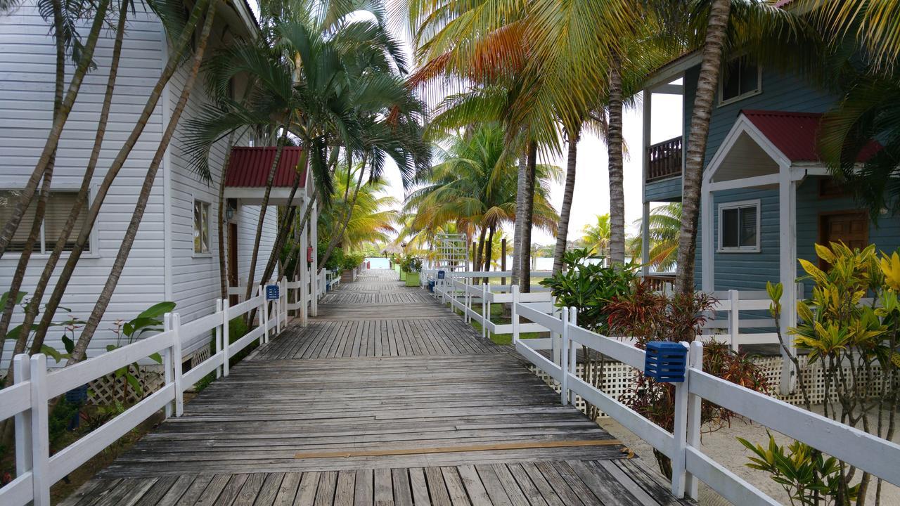 Las Palmas Beach Hotel Dixon Cove 外观 照片