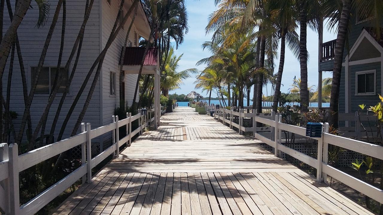 Las Palmas Beach Hotel Dixon Cove 外观 照片