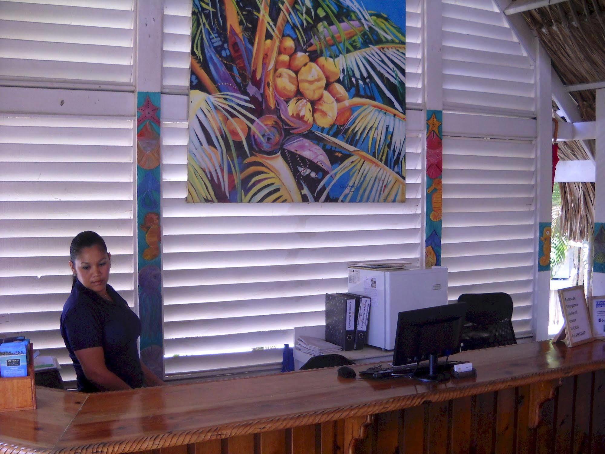 Las Palmas Beach Hotel Dixon Cove 外观 照片
