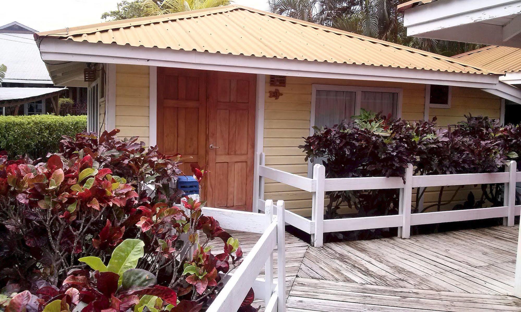Las Palmas Beach Hotel Dixon Cove 外观 照片