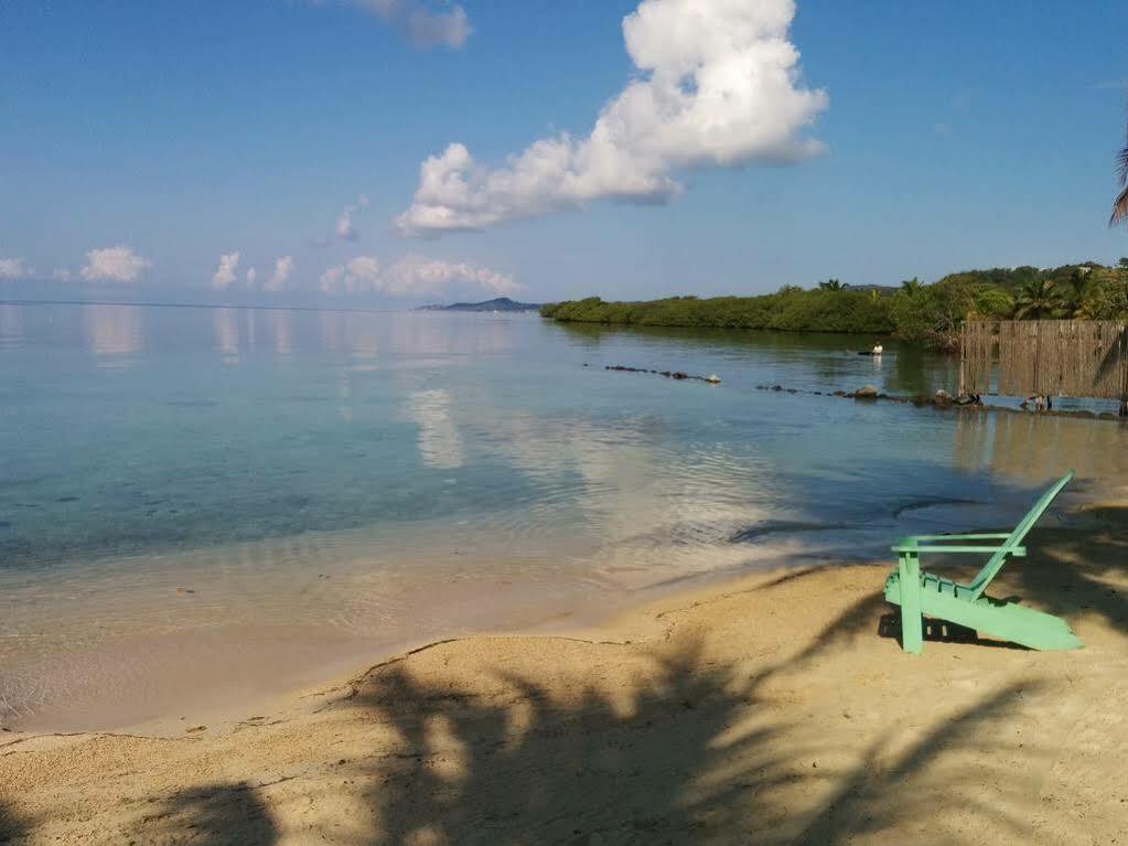 Las Palmas Beach Hotel Dixon Cove 外观 照片
